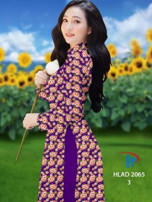 1649826493 vai ao dai dep (4)